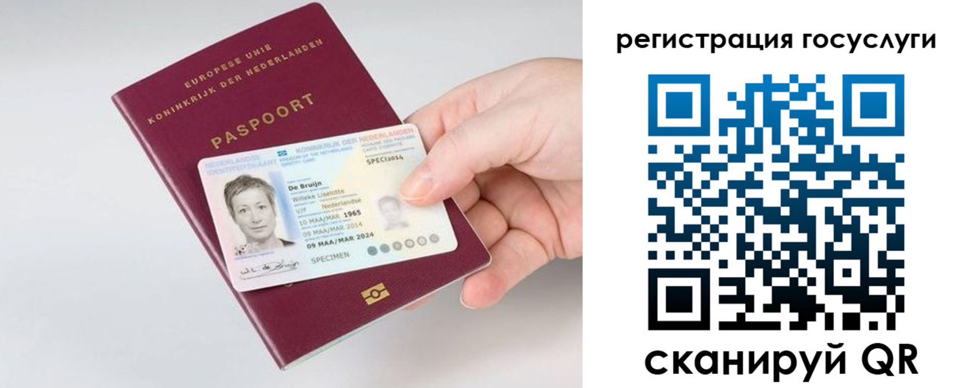 регистрация для дет. сада в Всеволожске