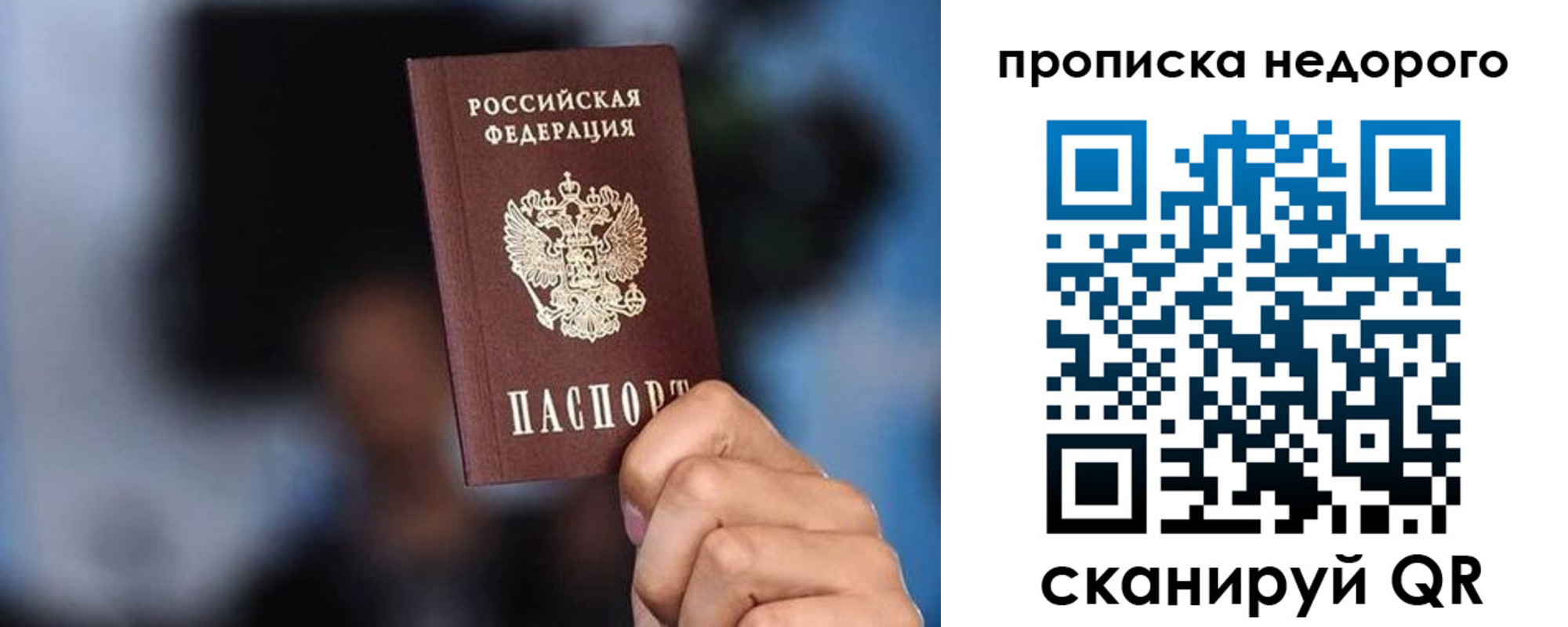 временная регистрация поиск в Всеволожске